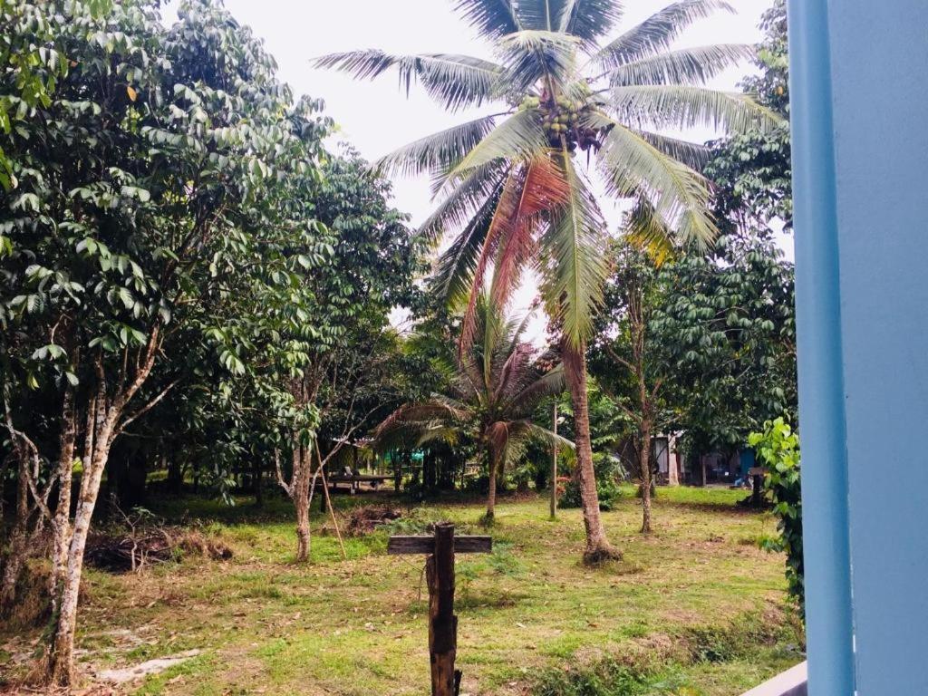 Apartmán Baan Kalaya Garden Ban Mai Exteriér fotografie